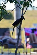 Pantanal Ranch Meia Lua