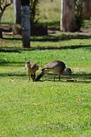 Pantanal Ranch Meia Lua