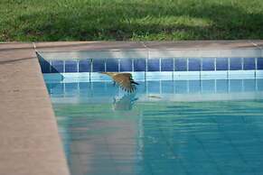 Pantanal Ranch Meia Lua