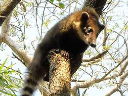 Pantanal Ranch Meia Lua