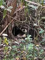 Pantanal Ranch Meia Lua