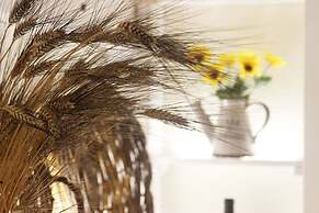 Trullo Madia with Shared Hot Tub in Nature