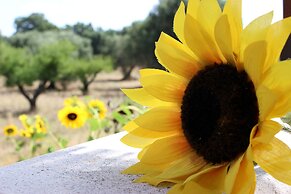 Trullo Madia with Shared Hot Tub in Nature