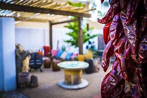 Painted Lady Bed & Brew