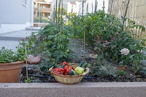 Luxury Villa Petra near Split