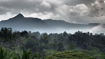 Kandy Homestay
