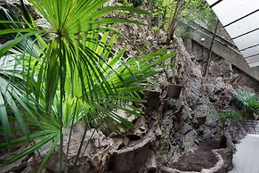 Lo Specchio del Lago