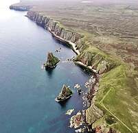 Harbour Bridge Camps Bar