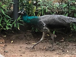 Ayuryogashram Heritage