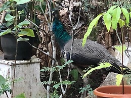 Ayuryogashram Heritage