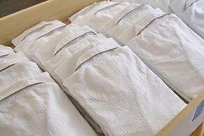 HOTEL AXIA INN SAPPORO SUSUKINO