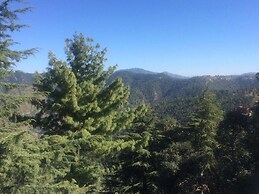 TreeHouse Chail Villas