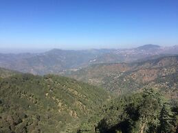 TreeHouse Chail Villas