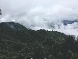 TreeHouse Chail Villas