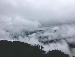 TreeHouse Chail Villas