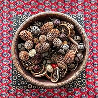 Spoon and the Stars Hostel