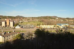 Whispering Pines 223