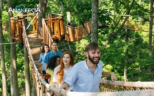 Whispering Pines 223