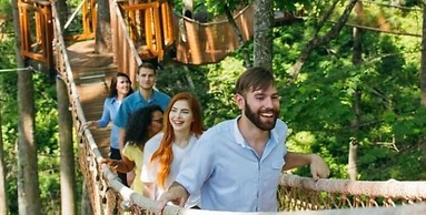 Whispering Pines 233