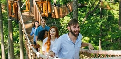 Whispering Pines 234