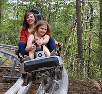 Whispering Pines 334