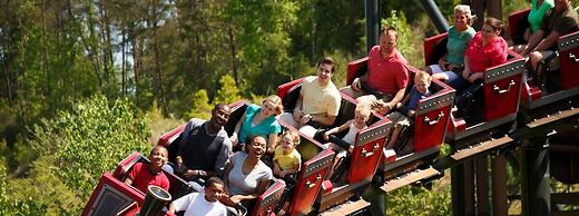 Whispering Pines 311