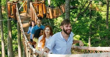 Whispering Pines 313