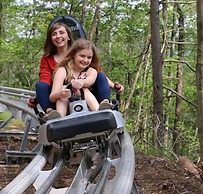 Whispering Pines 421