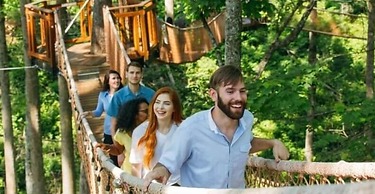 Whispering Pines 452