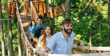 Whispering Pines 552