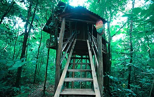 Tree Houses Hotel Costa Rica