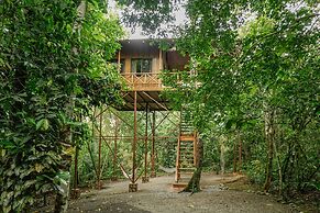 Tree Houses Hotel Costa Rica