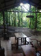 Tree Houses Hotel Costa Rica