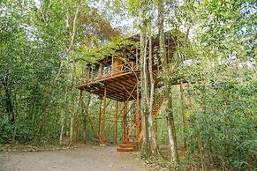 Tree Houses Hotel Costa Rica