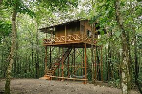 Tree Houses Hotel Costa Rica