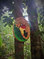 Tree Houses Hotel Costa Rica