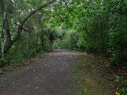 Tree Houses Hotel Costa Rica