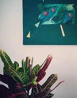 Agriturismo Monte Cologna