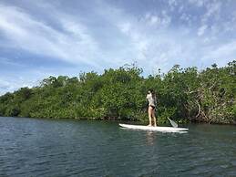 Casa Mexicana La Reyna