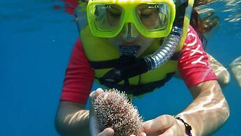 Casa Mexicana La Reyna