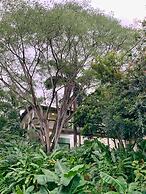 Hotel La Casablanca Tayrona