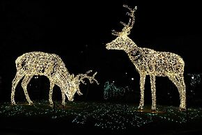 B&B In Centro 33 Home