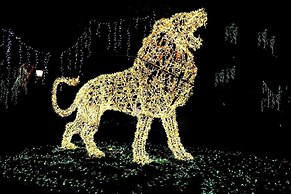 B&B In Centro 33 Home