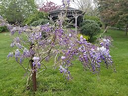 Whalewalk Inn and Spa