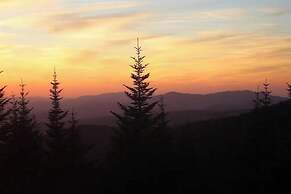 Fox Mountain Inn