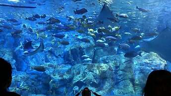 Matsuki building Seaside Mansion