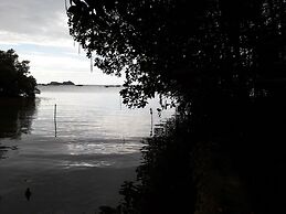 Guimaras Mangrove Guesthouse