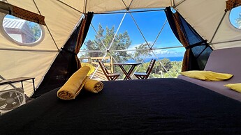Bubble Dome Village- Glamping