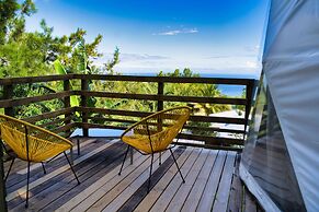 Bubble Dome Village- Glamping