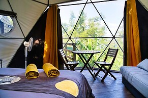 Bubble Dome Village- Glamping